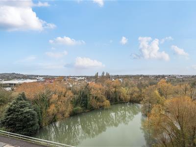 Picture 16